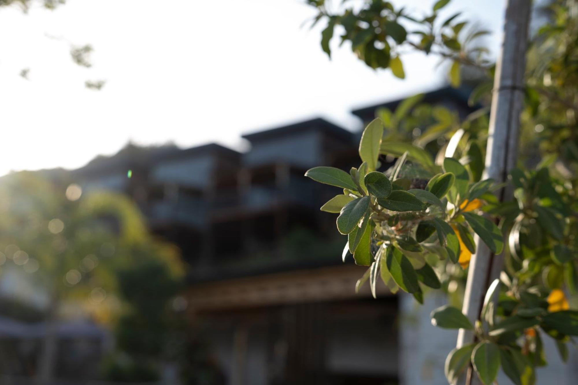 La Veranda Villas Kumluca 外观 照片